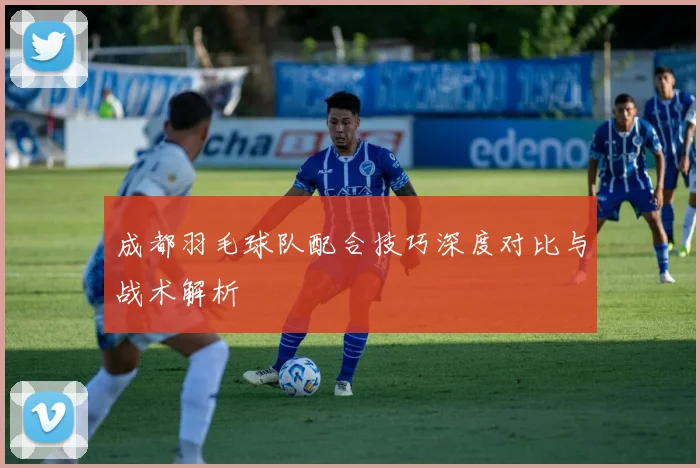 成都羽毛球队配合技巧深度对比与战术解析